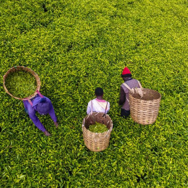 Smiling African women entrepreneurs
